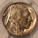 1937-s--buffalo-nickel-ms64-pcgs-gsh-toning-c