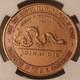 1954-ny-so-called-dollar-medal-albany-cradle-ms66-ngc-d