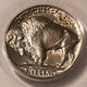 pcgs 1937 Buffalo nickel ms66 nice light toning d