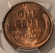 1936-d-lincoln-wheat-cent-ms63-rb-pcgs-d