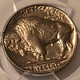1937-buffalo-nickel-ms63-pcgs-d