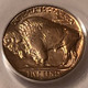 pcgs-buffalo-nickel-1937-s-ms65-d