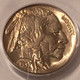pcgs-buffalo-nickel-1937-s-ms65-c