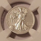 fiji-2023-tenth-oz-eagle-ms70-ngc-er-mercanti-c