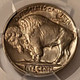 1936-s-buffalo-nickel-ms63-pcgs-d