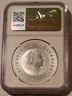 australia-2019-p-1-oz-silver-dollar-kangaroo-ms70-ngc-b