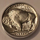 1937-buffalo-nickel-ms65-anacs-d