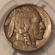 1913-buffalo-nickel-type1-au53-pcgs-toned-c