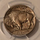 1913-buffalo-nickel-type1-au53-pcgs-toned-d