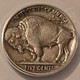 1919-buffalo-nickel-2-feathers-fs401-vf30-anacs-d