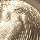 1923-peace-silver-dollar-vam-1-o-bar-wing-ms64-pcgs-gsh-e