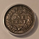 1882-indian-head-cent-rpd--s1-xf45-anacs-d