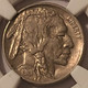 1919-buffalo-nickel-au53-ngc-c