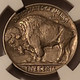 1919-buffalo-nickel-au53-ngc-d