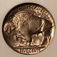 1937-d-buffalo-nickel-ms66-ngc-lp-d