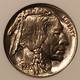 1937-d-buffalo-nickel-ms66-ngc-lp-c
