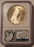 1925-peace-silver-dollar-vam1t-stickered-ms64-ngc-b