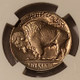 1936-d-buffalo-nickel-ms65-ngc-tonng-d
