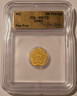 Chad-gold-paw-print-ms70-icg-a