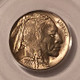 1937-d-buffal-nickel-ms65-pcgs-lt-c