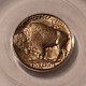 1937-d-buffal-nickel-ms65-pcgs-lt-d