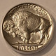 1937-buffalo-nickel-ms67-anacs-d