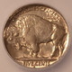 1937-s-buffalo-nickel-ms65-icg-d