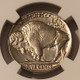 1936-buffal-nickel-ms62-ngc-d