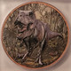 T-rex-copper-round-uhr-ms70-icg-c