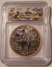 T-rex-copper-round-uhr-ms70-icg-a