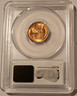 1954-s-lincoln-cent-ms66plus-red-pcgs-sticker-b