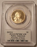 2019-s-native-dollar-ross-pr70-dcam-pcgs-fdi-cleveland-b
