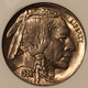 1938-d-d-buffalo-nickel-ms66-ngc-c