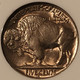 1938-d-d-buffalo-nickel-ms66-ngc-d