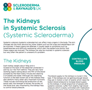 The Kidneys in Systemic Sclerosis