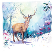 Winter in the Forest (10pk Christmas Cards)