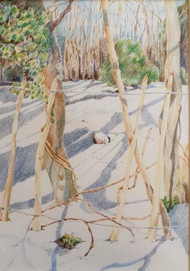 2020 Christmas Card - "Winter Woodland" © by Jane Knights