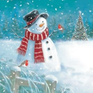 Snowman and Robins (10pk Christmas Cards)