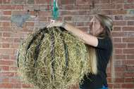 Simply hang from a beam or from a wall ring.  Loop the hanging rope through the hayball to shorten it if necessary.