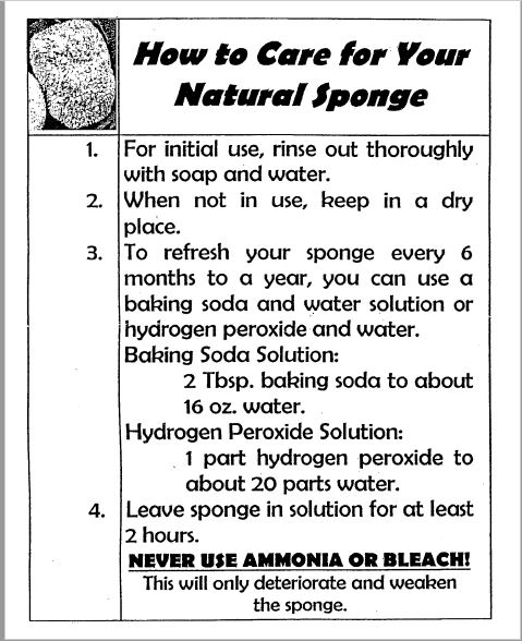 how-to-care-sponge.jpg