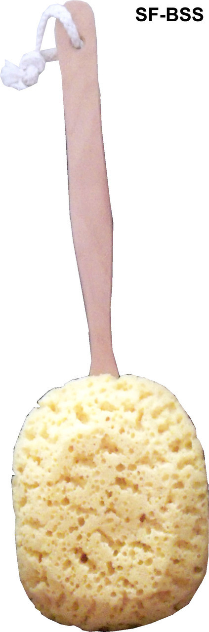 Bath Sponge On A Stick