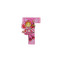 Self Adhesive Wooden Fairy Letter T by The Toy Workshop