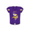 Minnesota Vikings Team Jersey Cloisonne Pin