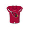 Arizona Cardinals Team Jersey Cloisonne Pin