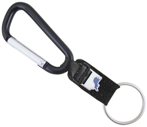 Detroit Lions Carabiner Keychain