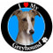I Love My Greyhound Magnet