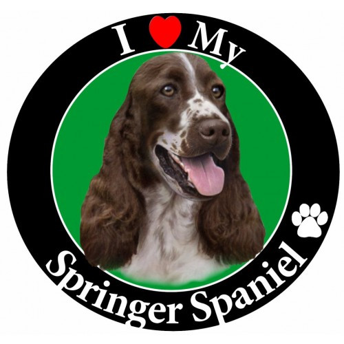 I Love My Springer Spaniel Magnet