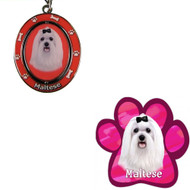 Bundle - 2 Items: Maltese Spinning Keychain and Paw Magnet
