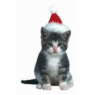 Spinny The Kitten With Santa Hat Die-Cut Photographic Magnet