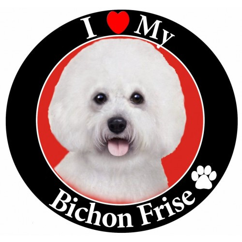 I Love My Bichon Frise Magnet